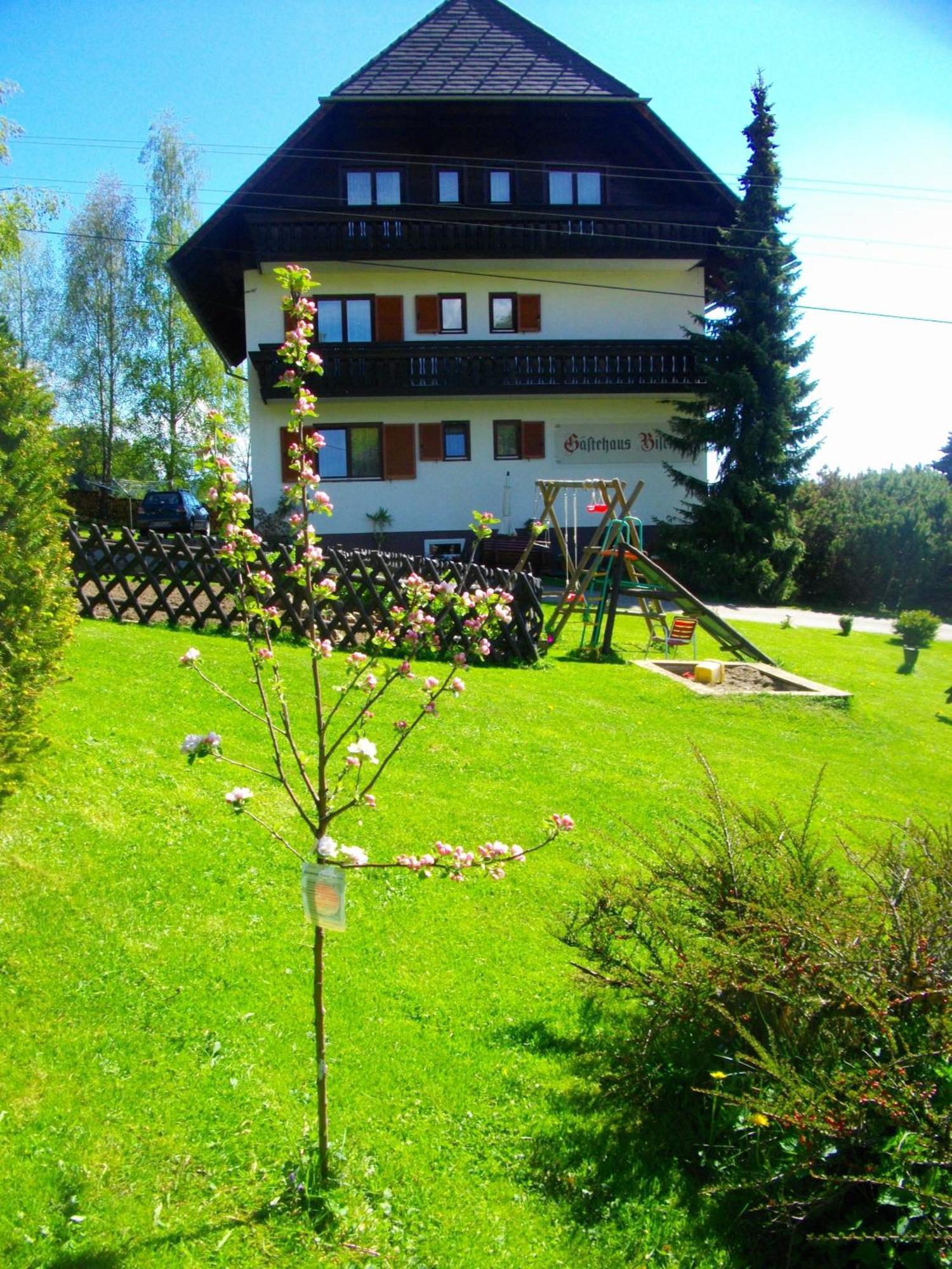 Schöder Gaestehaus Bischof מראה חיצוני תמונה